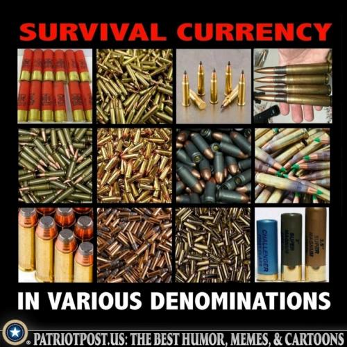 USA survival currency