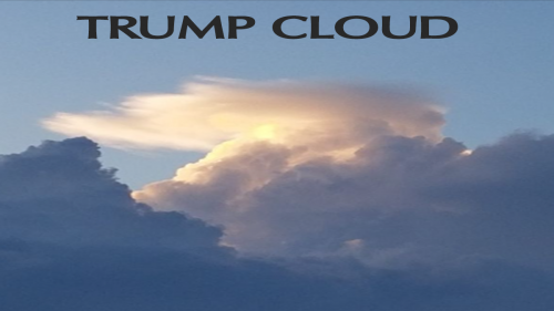 TrumpCloud