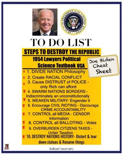 BIDENS CHEAT SHEET   TS