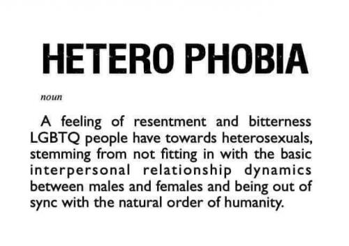 Hetero Phobia
