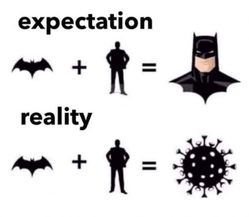 bat