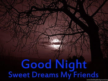 Good Night My Friends