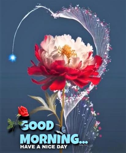 060423 - GM HAND flower