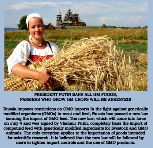 President Putin Bans All GMO Foods