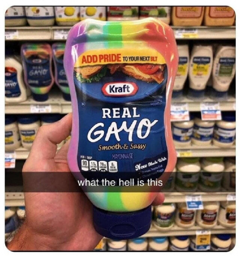M Gayo