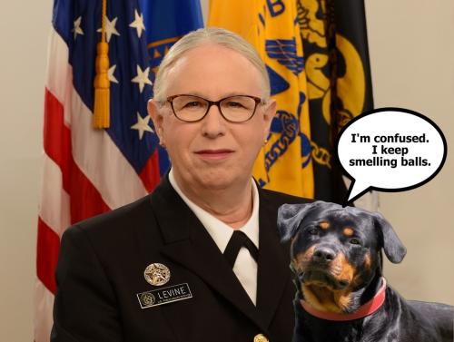 I'm confused. I keep smelling balls Rachel Levine 960px