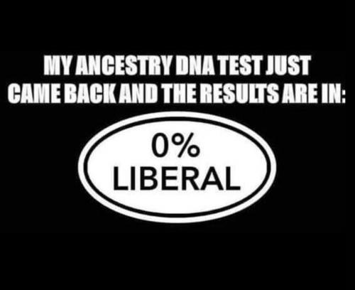 M DNA