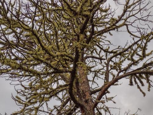 IMG_20230604_055552240_HDR