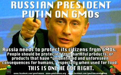 Putin on GMO's