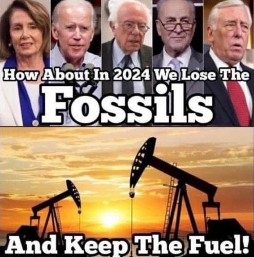 M fossils