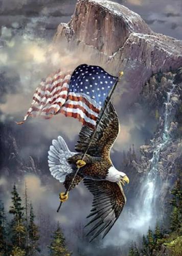 RO eagle