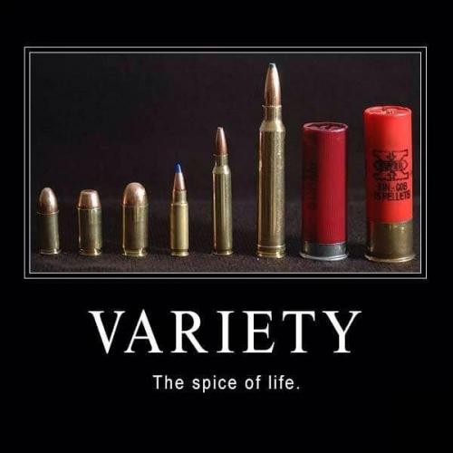 Ammo - Variety - The spice of life