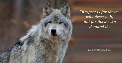 Respect 3 - For those who deserve it