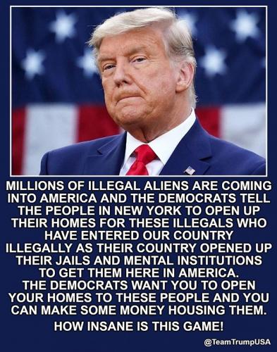 RO Illegals