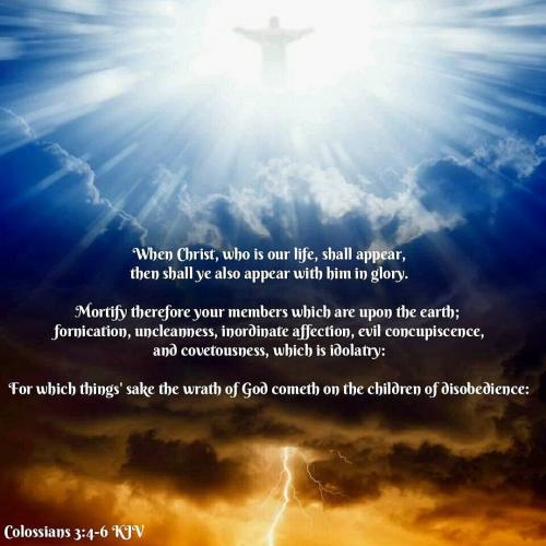 IMG_20230602_100749_464