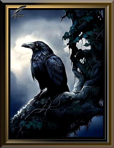 Raven's Pearch