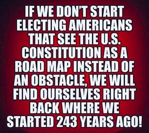 USA electing Americans