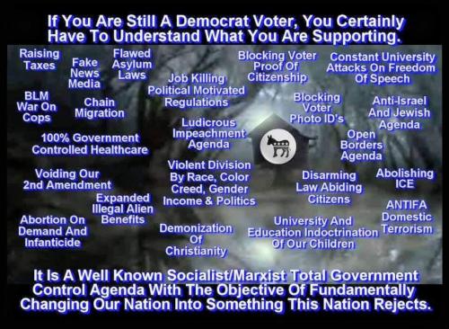 M Dem voter