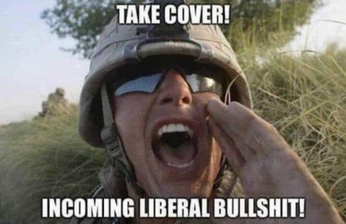 Incoming Liberal Bullshit