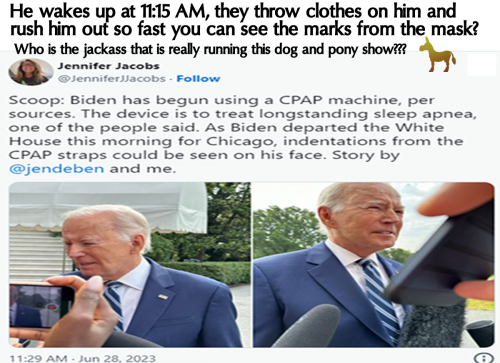 BidensDogAndPonyShow