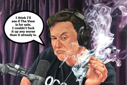 elon musk on the view