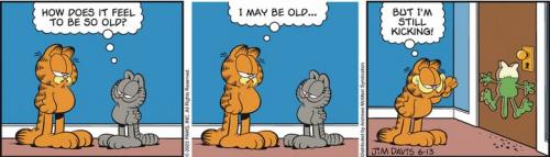 Screenshot 2023-06-13 at 06-29-09 Garfield by Jim Davis for June 13 2023 GoComics