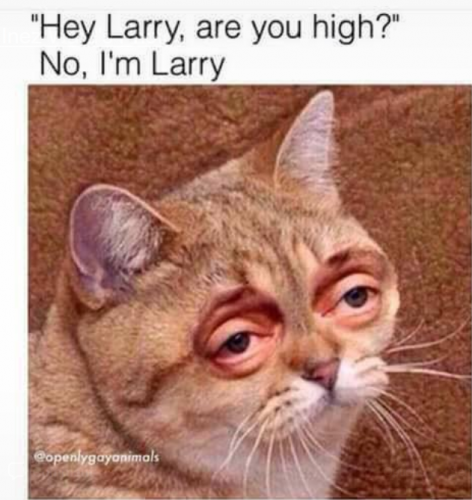 R.O.DD2