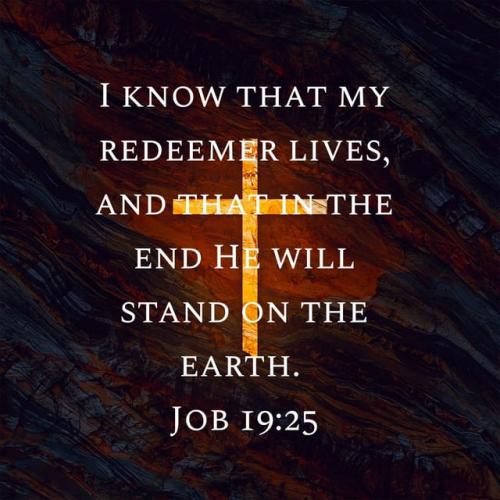 2886970-1677039005651