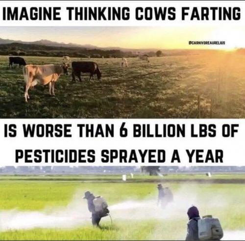 M cows farting