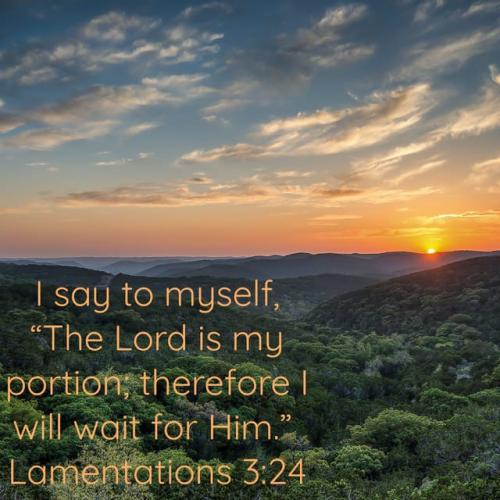 2886970-1674450006266