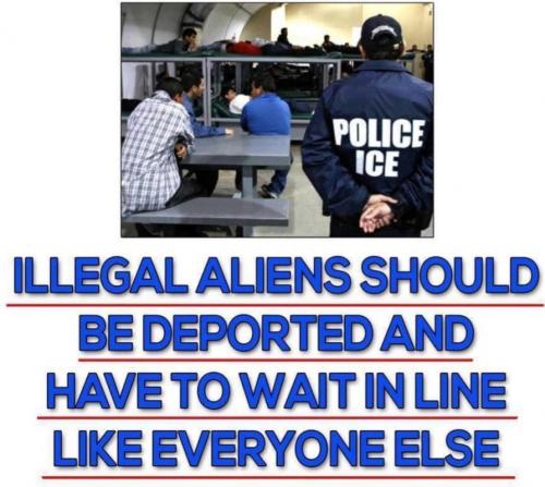 M illegals deported