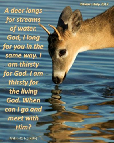 IMG_20230624_114642_957