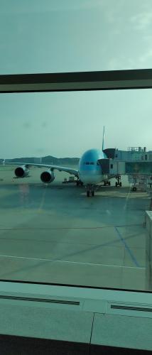 IMG_20230531_044749