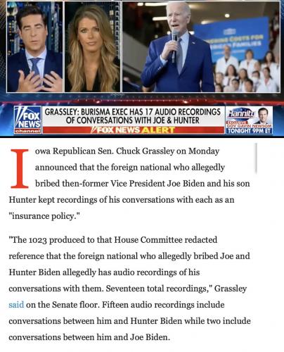 Ukr Biden bribes
