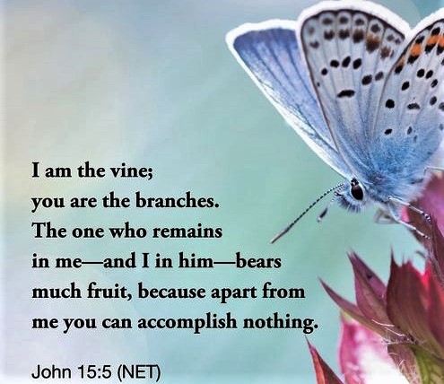 060923 - John 15-5