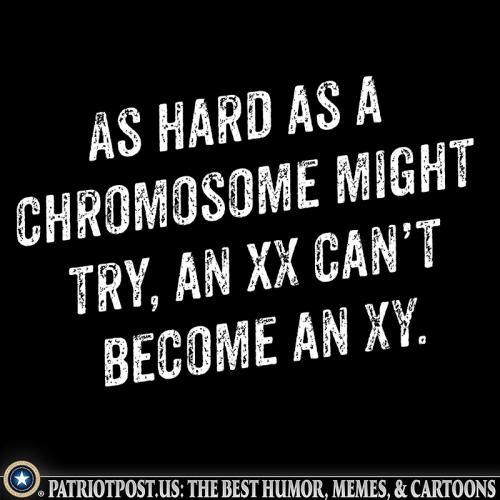 M Chromosone