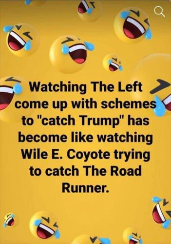 Wile-E-Coyote