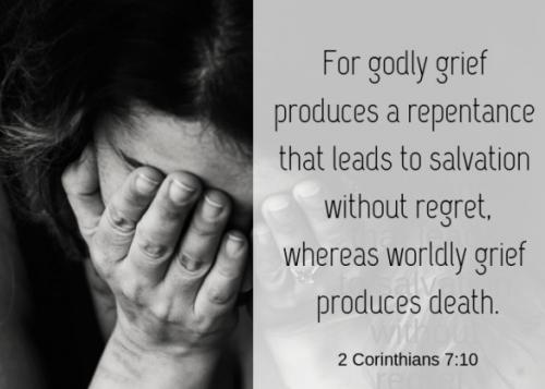 IMG_20230626_093645_266