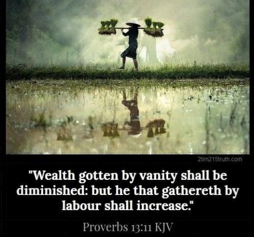 061323 - Wealth by vanity