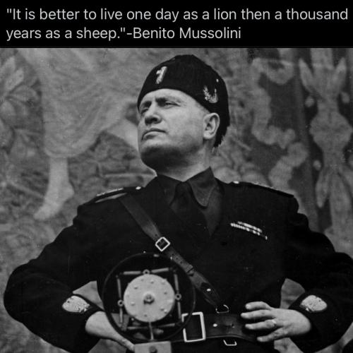 Mussolini - Lion