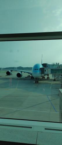 IMG_20230531_044747