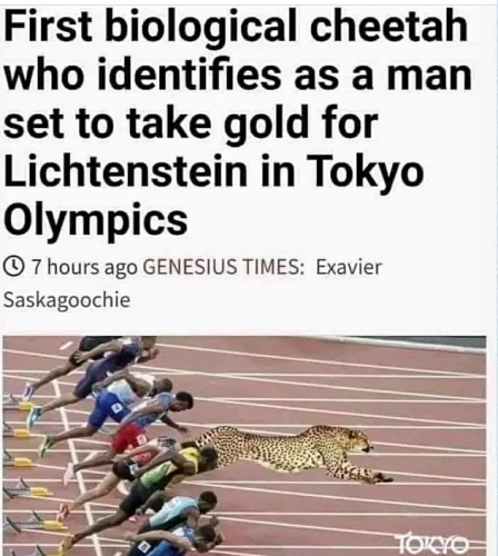 Self-Identifying - Cheetah
