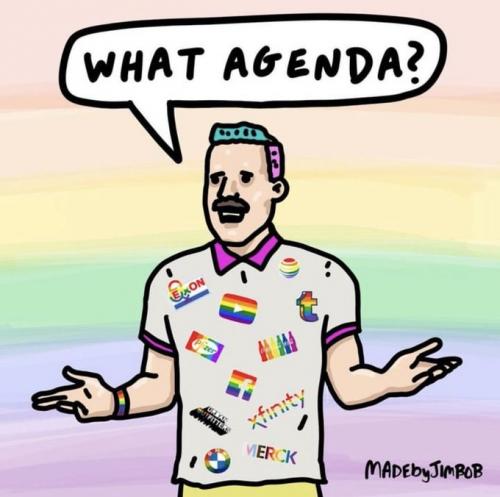 gay agenda