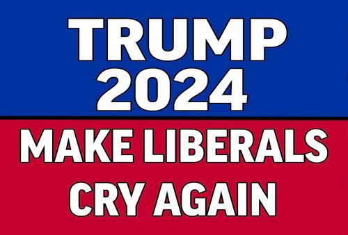 B Trump 2024