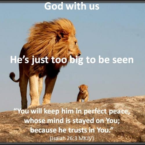 IMG_20230629_115609_578