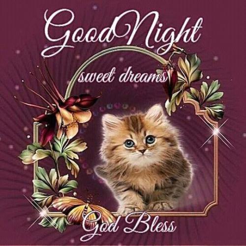 Good Night Sweet Dreams God Bless