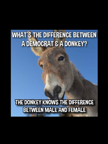 69895B20-0C3A-4580-825F-4A26C2CF77E4