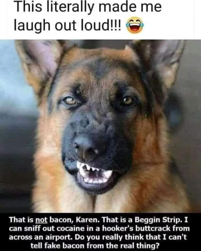 BegginStrips