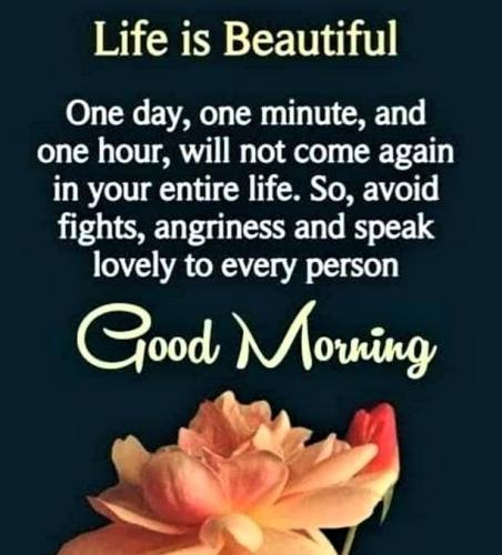061523 - Life is beautiful - 2