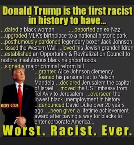 trump not racist
